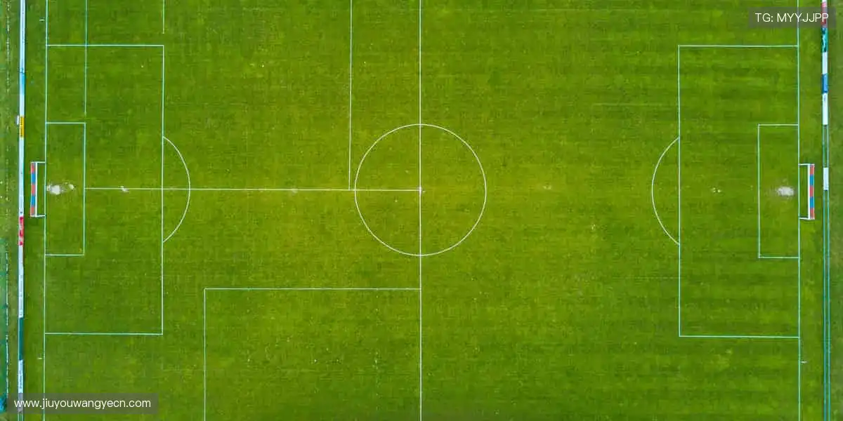 畅玩体育游戏世界：海量房间自由切换，社交互动不再孤单